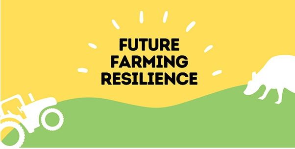 Farm Grants Update & Navigating the Agricultural Transition